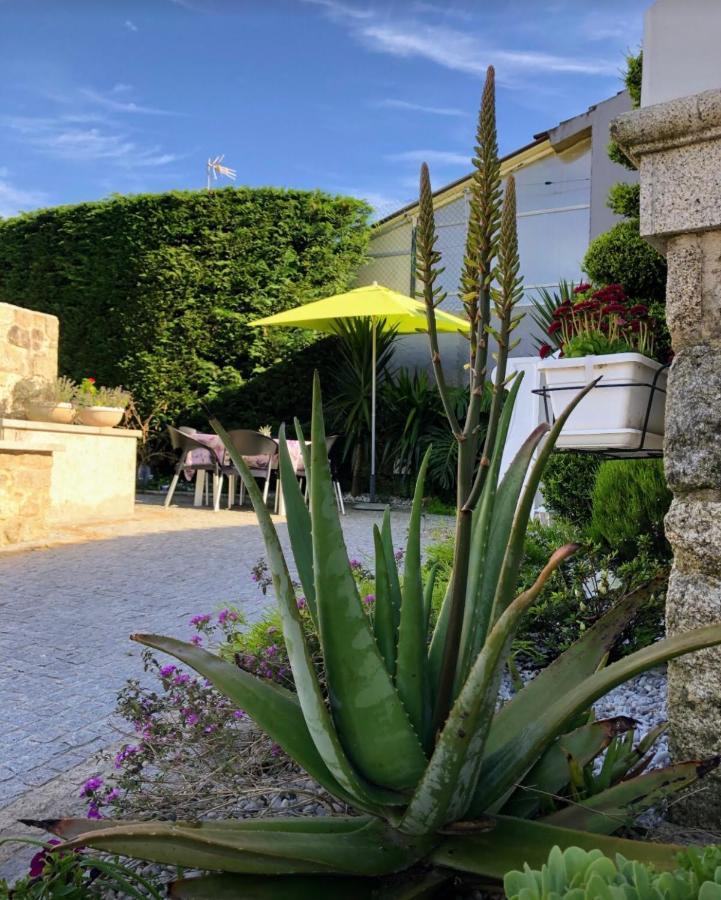 Casa Pedro E Ines Villa Viana do Castelo Dış mekan fotoğraf
