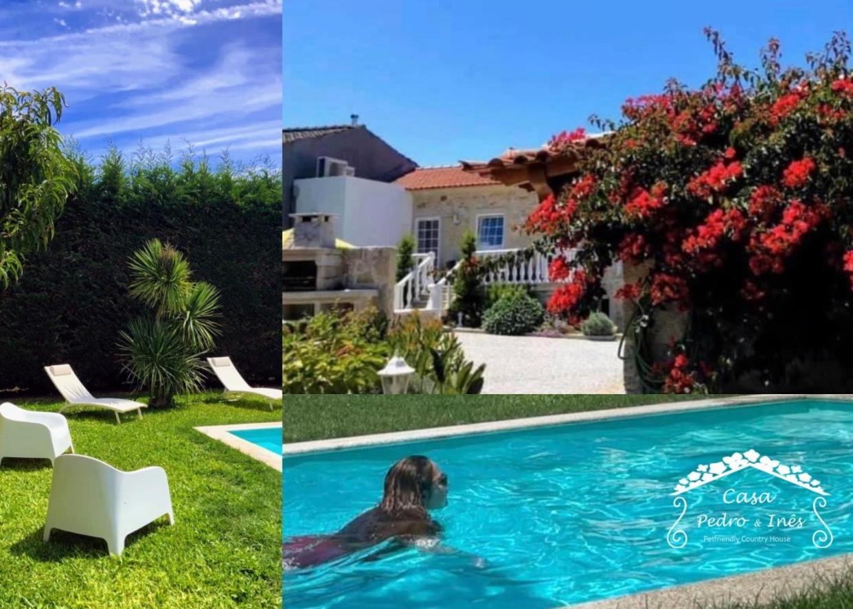 Casa Pedro E Ines Villa Viana do Castelo Dış mekan fotoğraf